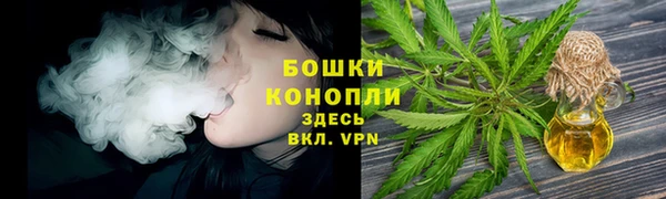 PSILOCYBIN Нея